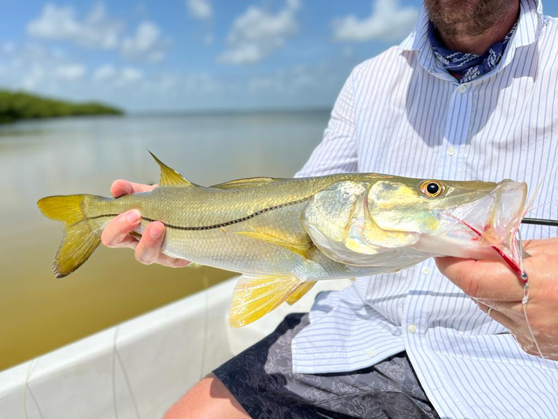 Snook Fishing Cancun